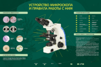 Электрифицированный стенд "Устройство микроскопа и правила работы c ним" - fgospostavki.ru - Тула