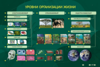 Электрифицированный стенд "Уровни организации жизни" - fgospostavki.ru - Тула