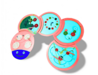 Тактильно-развивающая панель «Гусеница» - fgospostavki.ru - Тула