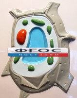 Модель барельефная "Растительная клетка" - fgospostavki.ru - Тула