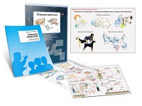 Комплект кодотранспарантов "Опасные животные" - fgospostavki.ru - Тула