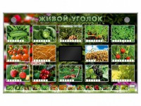 Комплект оборудования "Живой уголок" (растения) - fgospostavki.ru - Тула