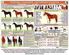 Комплект плакатов "Служебное коневодство" - fgospostavki.ru - Тула
