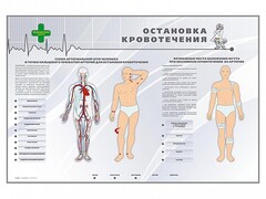 Электрифицированный стенд "Остановка кровотечения" - fgospostavki.ru - Тула