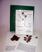 Гербарий к курсу основ общей биологии (20 листов, ламинированный) - fgospostavki.ru - Тула