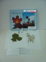 Гербарий "Медоносные растения" (24 вида) - fgospostavki.ru - Тула