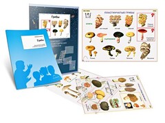 Комплект кодотранспарантов "Грибы" - fgospostavki.ru - Тула