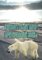 DVD "Животный мир Арктической зоны" - fgospostavki.ru - Тула