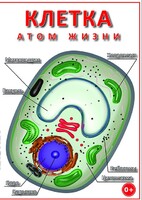 DVD "Клетка - "атом жизни" - fgospostavki.ru - Тула