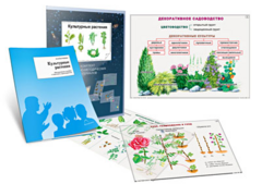 Комплект кодотранспарантов "Культурные растения" - fgospostavki.ru - Тула