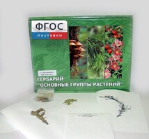 Гербарий "Основные группы растений" (52 листа) - fgospostavki.ru - Тула