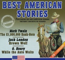 Аудиокнига "Best american stories" - fgospostavki.ru - Тула