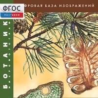 Ботаника. Микрофотографии. (Цифровая база изображений) - fgospostavki.ru - Тула