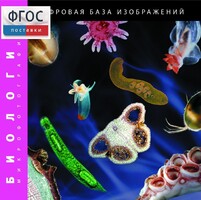 Биология. Микрофотографии. (Цифровая база изображений) - fgospostavki.ru - Тула