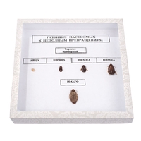 Коллекция "Развитие насекомых с неполным превращением" - fgospostavki.ru - Тула