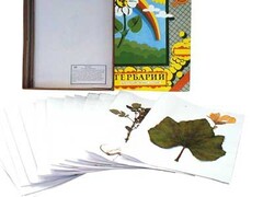 Гербарий "Сельскохозяйственные растения России" - fgospostavki.ru - Тула