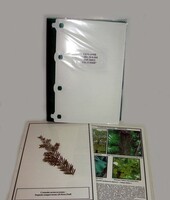 Гербарий "Эволюция высших растений" (ламинированный) - fgospostavki.ru - Тула