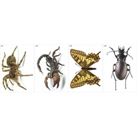 Модель-аппликация Многообразие беспозвоночных - fgospostavki.ru - Тула