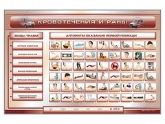 Трехсекционный базовый комплект "Травмы. Кровотечения. Ожоги" для учащихся общеобразовательных учреждений - fgospostavki.ru - Тула