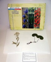 Гербарий "Ядовитые растения" (20 видов) - fgospostavki.ru - Тула