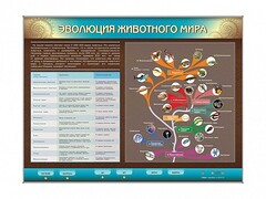 Интерактивный электрифицированный стенд "Эволюция животного мира" - fgospostavki.ru - Тула