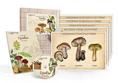 Комбинированное наглядное пособие  «Грибы» - fgospostavki.ru - Тула