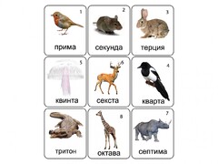 Набор магнитных карточек по музыке "Животные" (9 штук) - fgospostavki.ru - Тула