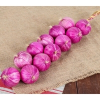 Муляжи "Связка лука" - fgospostavki.ru - Тула