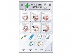 Интерактивный стенд "Живые зубки" - fgospostavki.ru - Тула