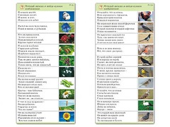 Комплект карточек (10) "Обучающий калейдоскоп. Природа" - fgospostavki.ru - Тула