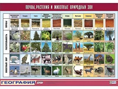 Таблица демонстрационная "Почвы, растения и животные природных зон" (винил 100*140) - fgospostavki.ru - Тула