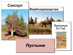 Модель-аппликация "Природные зоны России" (ламинированная) - fgospostavki.ru - Тула