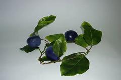 Ветка муляжей "Слива" - fgospostavki.ru - Тула