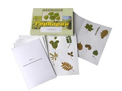 Гербарий "Морфология растений" (6 тем, 30 видов) - fgospostavki.ru - Тула