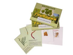 Гербарий "Основные группы растений. Грибы. Лишайники" (53 листа, с иллюстрациями и фотографиями) - fgospostavki.ru - Тула