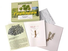 Гербарий "Водоросли. Грибы. Лишайники" (раздаточный) - fgospostavki.ru - Тула