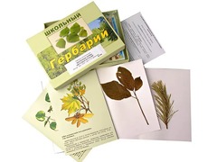 Гербарий "Жизненные формы цветковых растений" (раздаточный) - fgospostavki.ru - Тула