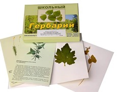 Гербарий "Систематика растений. Высшие споровые и семенные" (раздаточный) - fgospostavki.ru - Тула