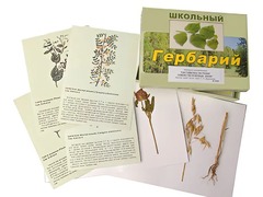 Гербарий "Систематика растений. Семейство Бобовые. Злаки" (раздаточный) - fgospostavki.ru - Тула