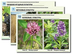 Гербарий фотографический "Сельскохозяйственные растения России" - fgospostavki.ru - Тула