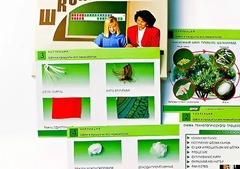 Коллекция "Шелк и продукты его переработки" (средняя школа) - fgospostavki.ru - Тула