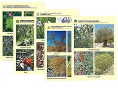 Гербарий фотографический по географии - fgospostavki.ru - Тула