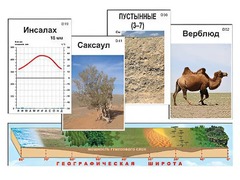 Модель-аппликация "Природные зоны" - fgospostavki.ru - Тула