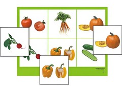 Логопедическое лото "Овощи" (4 планшета, 24 карточки, цветное, ламинированное) - fgospostavki.ru - Тула