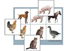 Логопедическое лото "Домашние животные" (4 планшета, 24 карточки, цветное, ламинированное) - fgospostavki.ru - Тула