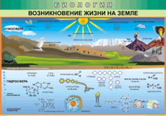 Таблица "Возникновение жизни на земле" (100х140 сантиметров, винил) - fgospostavki.ru - Тула