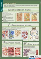 Комплект таблиц. Биология 8-9 класс. Человек. - fgospostavki.ru - Тула