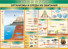 Таблица "Организмы и среды их обитания" (100х140 сантиметров, винил) - fgospostavki.ru - Тула