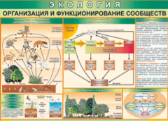 Таблица "Организация и функционирование сообществ" (100х140 сантиметров, винил) - fgospostavki.ru - Тула