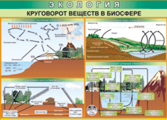Таблица "Круговорот веществ в биосфере" (100х140 сантиметров, винил) - fgospostavki.ru - Тула
